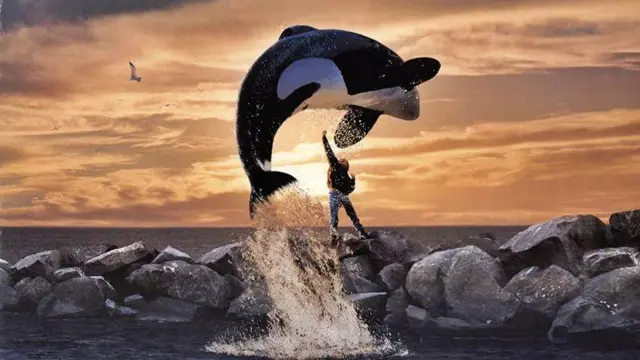 ¡Liberad a Willy!