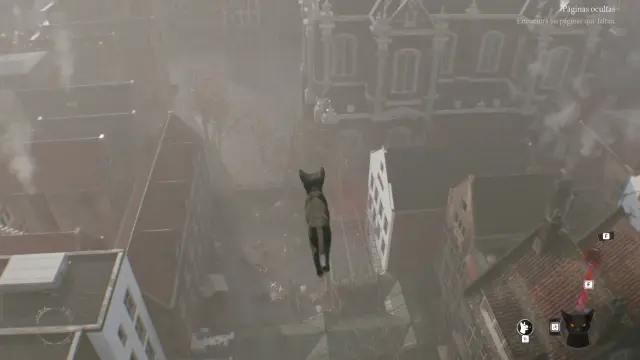 Gato volador debido a un bug