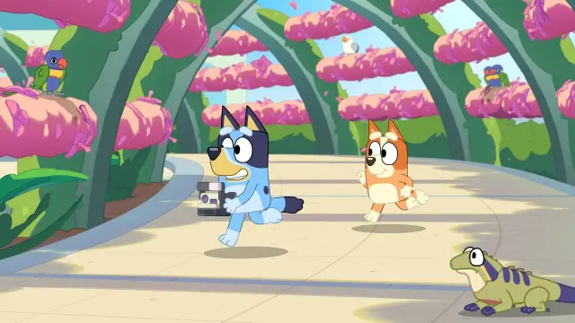 Bluey's Happy Snaps