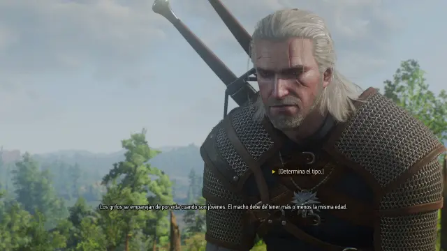 The Witcher 3 Wild Hunt Remastered