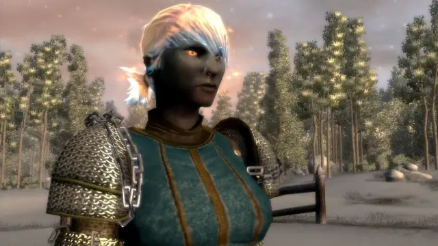 Neverwinter Nights 2: Mask of the Betrayer