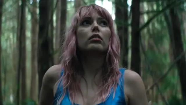 The Swallow (2026)