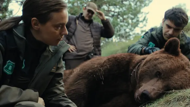 Matar a un oso