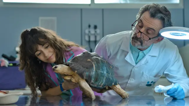 Animal temporada 2