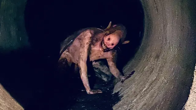 V/H/S 94