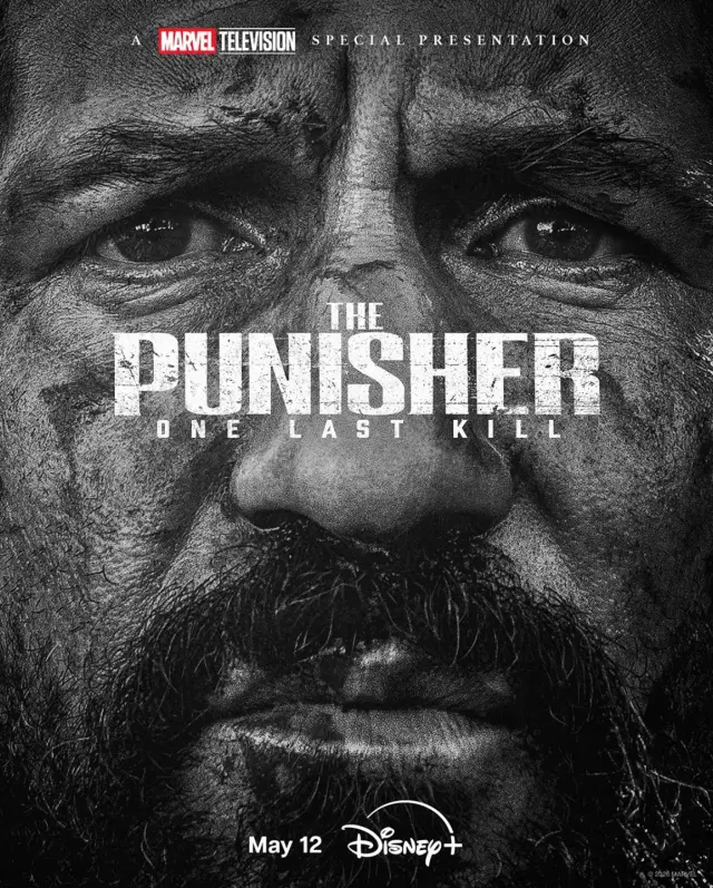 Póster de Punisher: One Last Kill