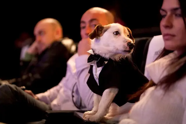 Pancho en los Goya de 2010