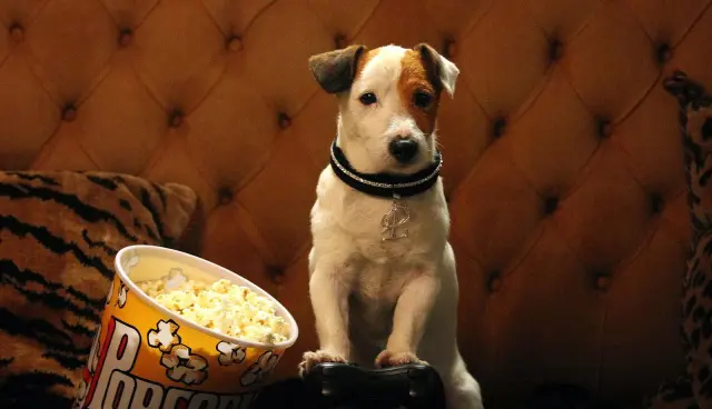 Pancho, el perro millonario (2014)