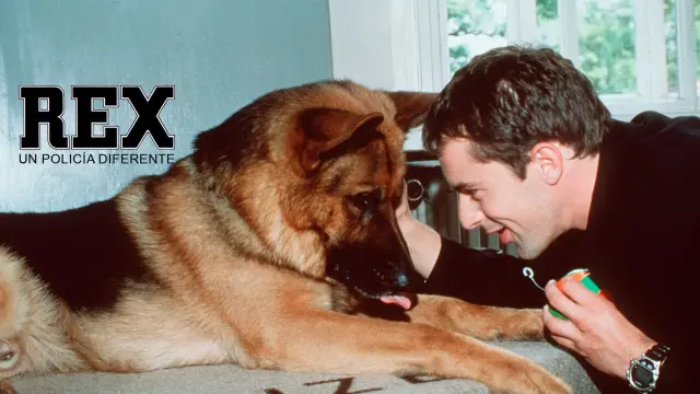 Rex, un policía diferente