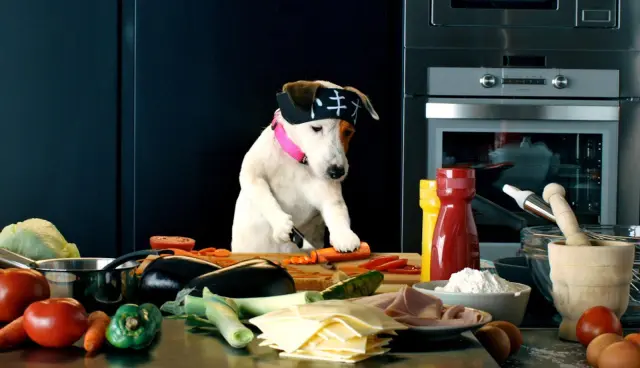 Pancho, el perro millonario (2014)