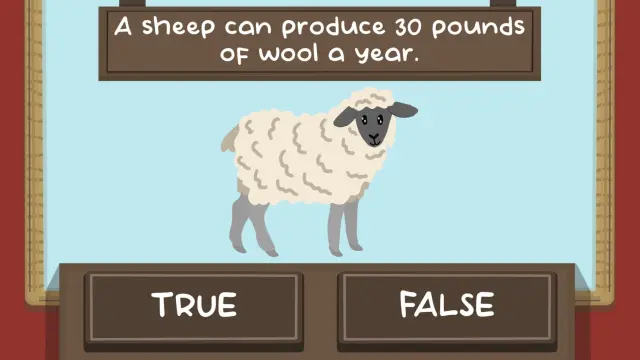 The Sheep Quiz, uno de los juegos de Webnetic