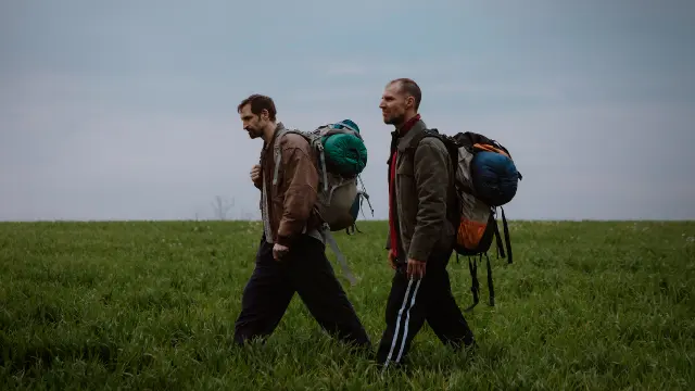 33 días