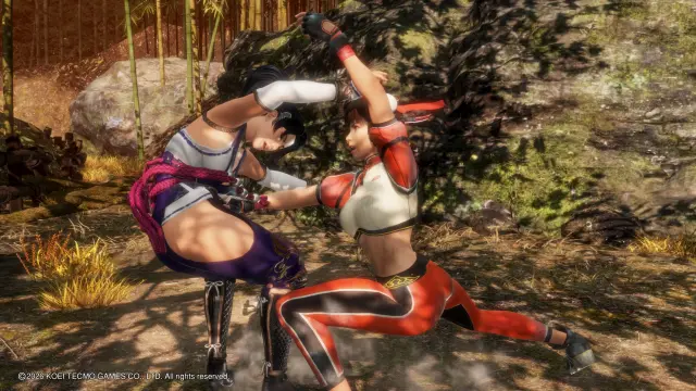 Dead or Alive 6 Last Round