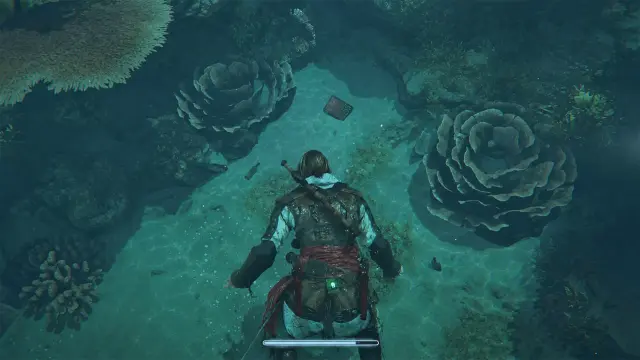 Assassin's Creed Black Flag Resynced