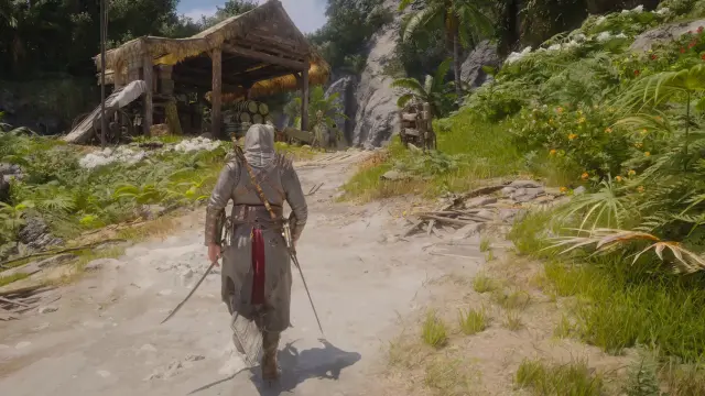 Assassin's Creed Black Flag Resynced