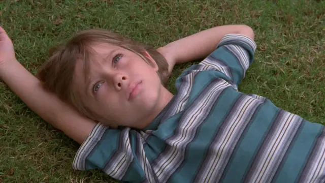 Boyhood (Momentos de una vida) (2014)