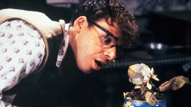 Rick Moranis en La tienda de los horrores (1986)