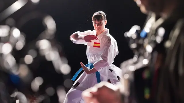 Karateka (2026)